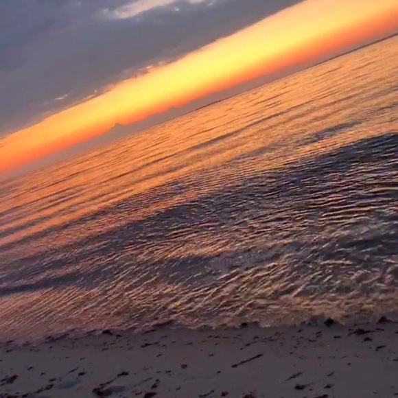 Meet your Posher, Sabrina - Picture 1 of 1